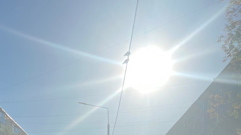 Самый короткий световой день в Брянской области продлится 6 часов 59 минут