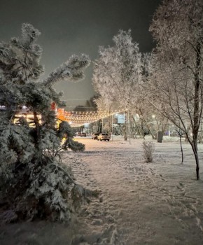 ��������� ������ ������� ����� ������