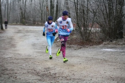 �������� ������� ���������� �� ������ ������������ ������������