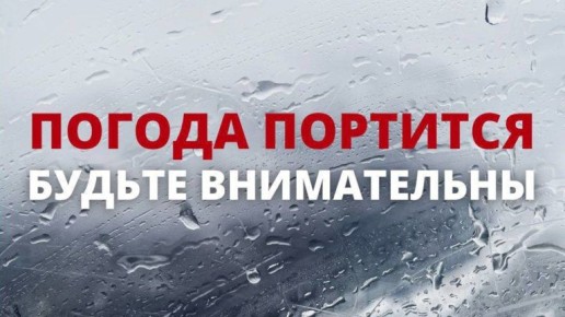 �������� �������������� ������������ �� ��������� �������� �������