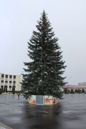 На центральной площади города Мглина засияла праздничными огнями главная городская ёлка
