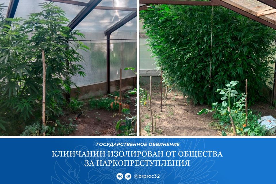 ����������� �. ������ ���������� ��������������� ��������� �� ���������� ���� � ��������� 46-������� �������� ������