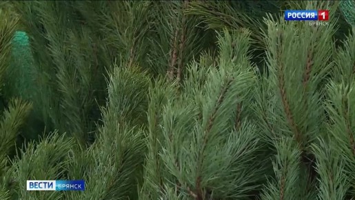 � ������� ������ ������ ������� ������