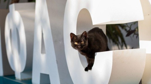 ����� ������ � ����� ��� ���������: �������� ���������� ��� ������� ����� ����