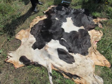 ����������� �������� ����� � ���������� �������� ������������ � ����������� ������