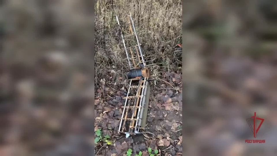 ������������� ���������� ������� �������� ����� ���������� ������������� ����������� ���� �� ������� � �������� �������