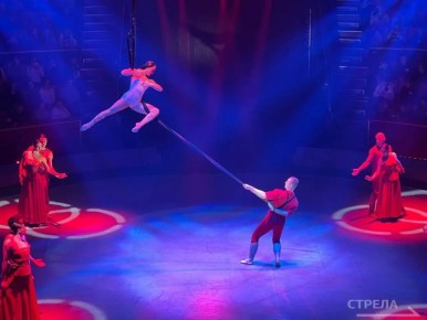 Делимся атмосферой «Губернаторской ёлки»