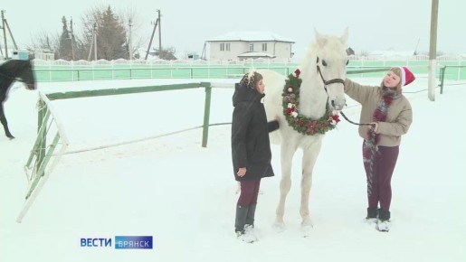 Что брянцам ждать от Красной Огненной Лошади в 2026 году?