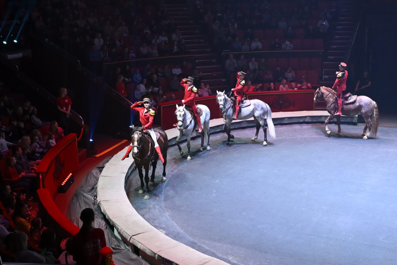 Александр Богомаз: В Брянском цирке еще одно новогоднее представление от артистов Московского государственного цирка под руководством Аскольда Запашного Александр Богомаз: В Брянском цирке еще одно новогоднее представление от артистов Московского государственного цирка под руководством Аскольда Запашного