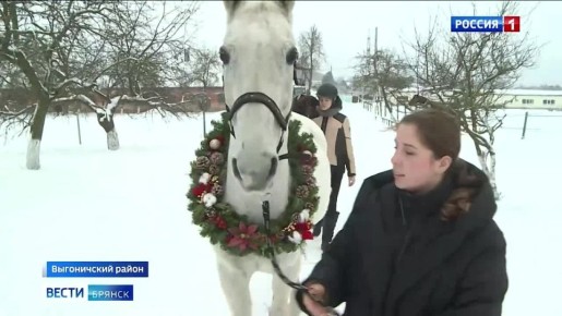 Что брянцам ждать от Красной Огненной Лошади в 2026 году?