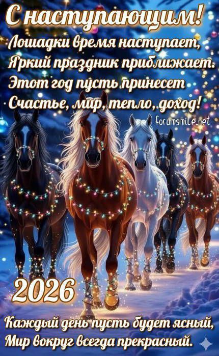 Делимся фото со школьных новогодних праздников и карнавалов! С наступающим! Делимся фото со школьных новогодних праздников и карнавалов! С наступающим!