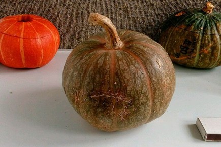 Тыква Малышка: идеальный выбор для вашего огорода