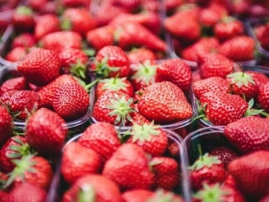 ������� ��������� ����� ��������: ��� �������� �������� ������