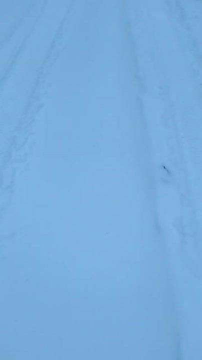 ������� ��������� � ������ ������������