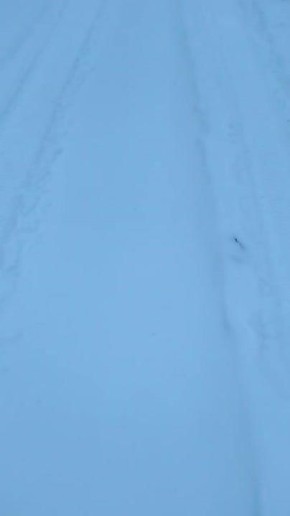 ������� ��������� � ������ ������������