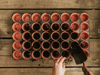 ������������ �����: �������� ������ ��� ��������� �����������