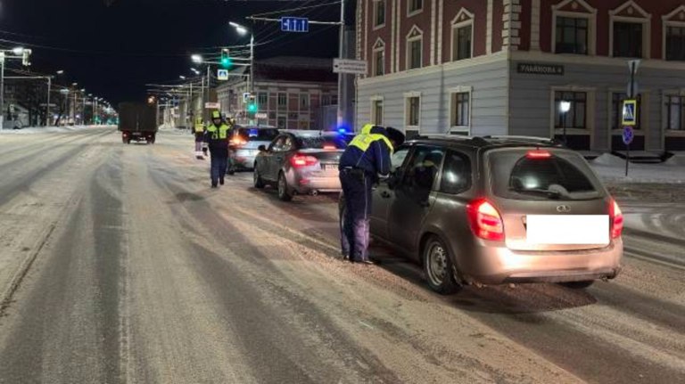 В Бежицком районе Брянска ночью выявили водителя с признаками опьянения