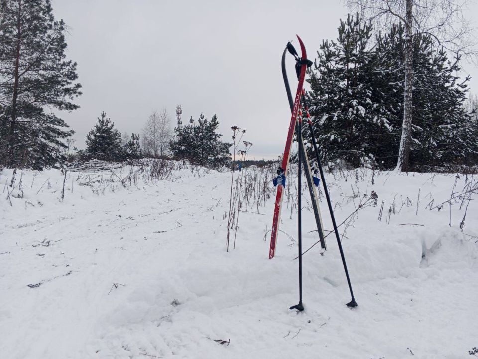 ��������� �����: ��� ������� ������ ����������� ������ ������!