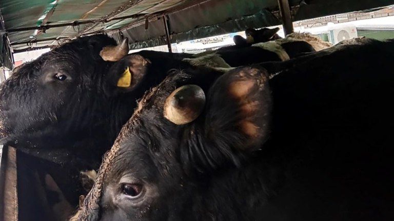 � �������� ������� ��������� ������������� �������� � �������� �� ��������