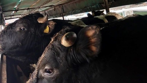 � �������� ������� ��������� ������������� �������� � �������� �� ��������