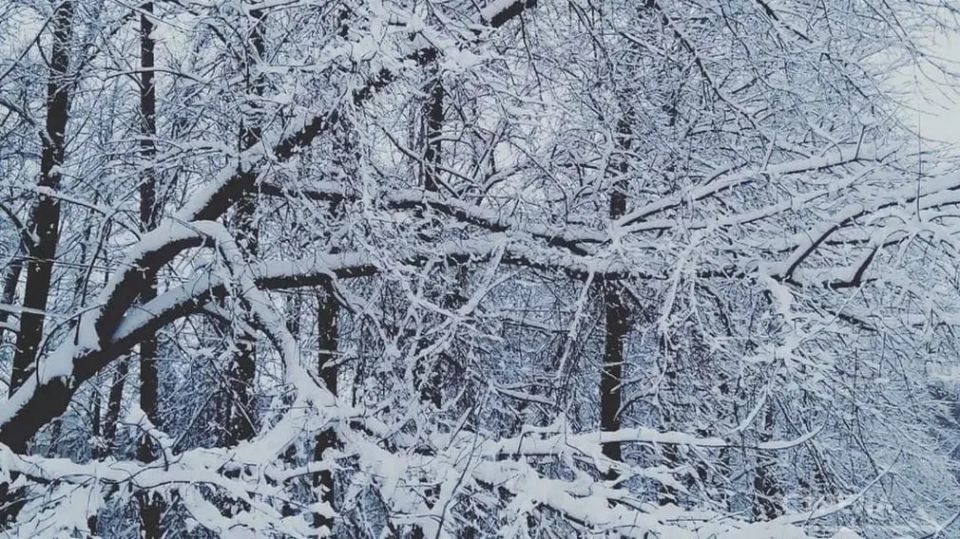 ������, 7 ������, � �������� ������� ����� �������