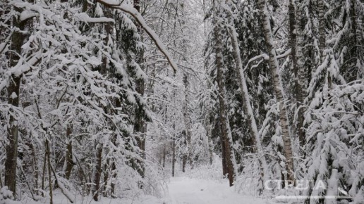 ������, 9 ������, � �������� ������� ����� �������