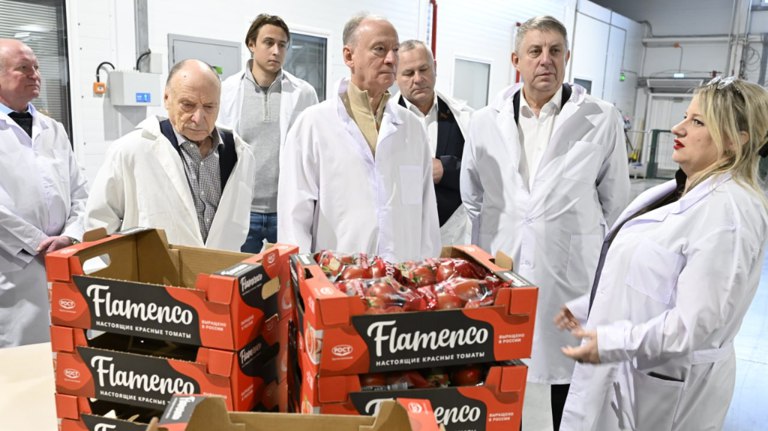 Богомаз и Патрушев оценили развитие тепличного комплекса в Журиничах