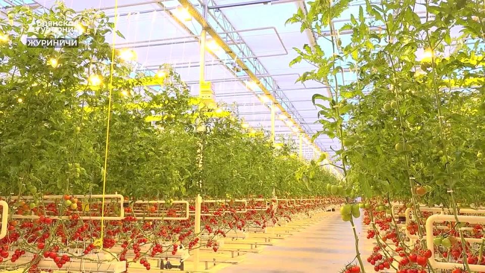 � ������� ������� � �������� ������� ������� �������� ���������� ������ ������� ��������