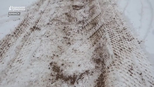 Брянская область вместе с другими регионами Центральной России столкнулась с влиянием Балканского циклона «Фрэнсис»