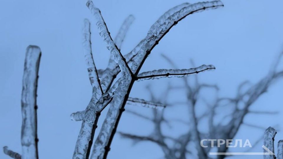 ������, 10 ������, � �������� ������� ����� �������