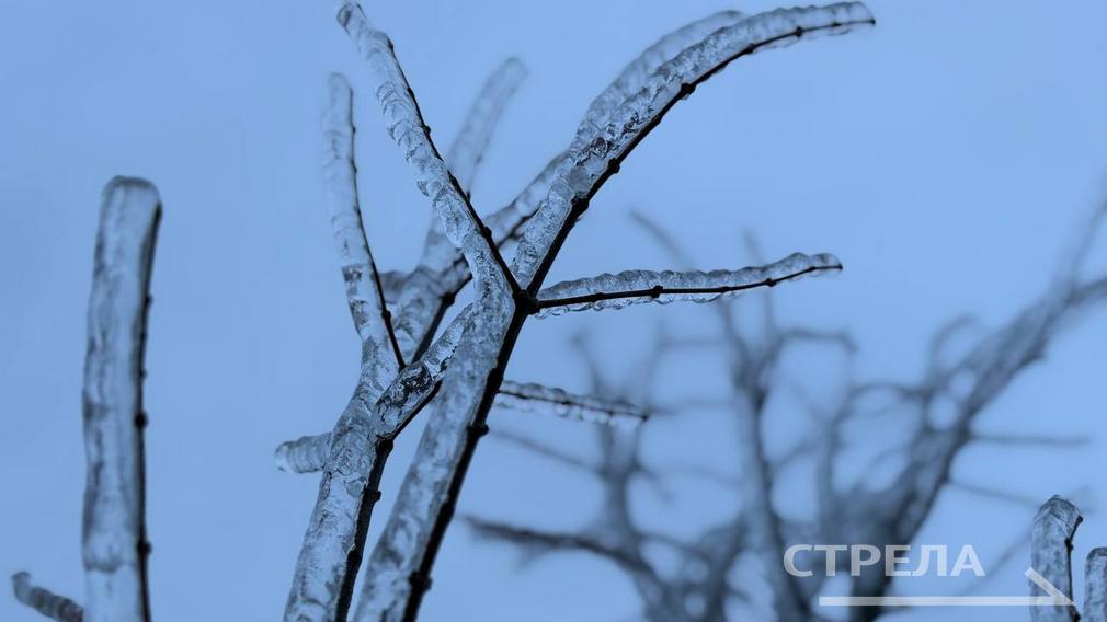 Завтра, 10 января, в Брянской области будет облачно