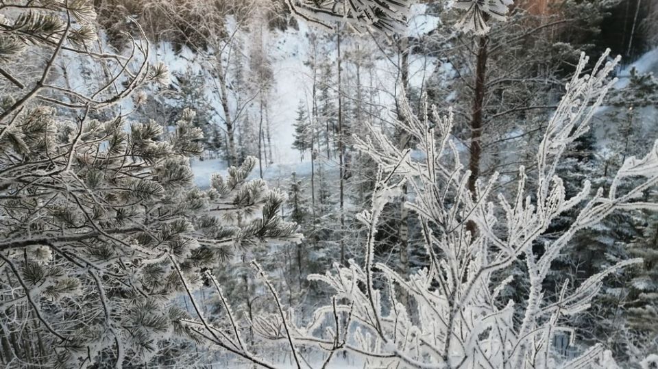 ������� ������� 19-��������� ������ � �����������