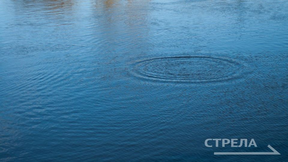 � �������� ������� ��������� ������� ����� ������������ ����������� ��������-������������� ������ �� ������� ���