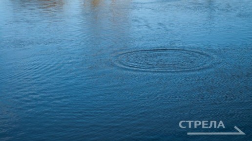 � �������� ������� ��������� ������� ����� ������������ ����������� ��������-������������� ������ �� ������� ���