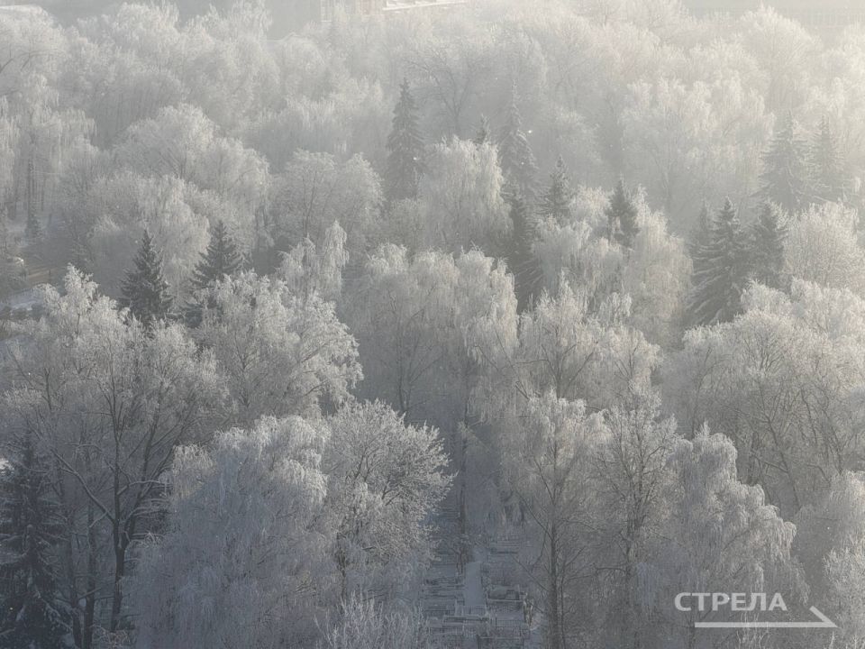 �������� ������� ��������� �����