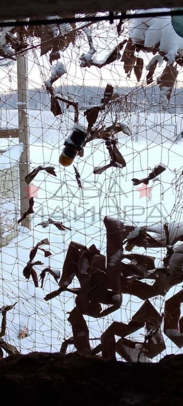 ��� ������: �������� ������� ������. "�������,���� ������ ��������, ��� �� ��� �� ����� � �� ����" ���� ������ �� �������� ����������� ��������� ���������� �� ���� ������ ��� �� ��������� ������ ������� ���������