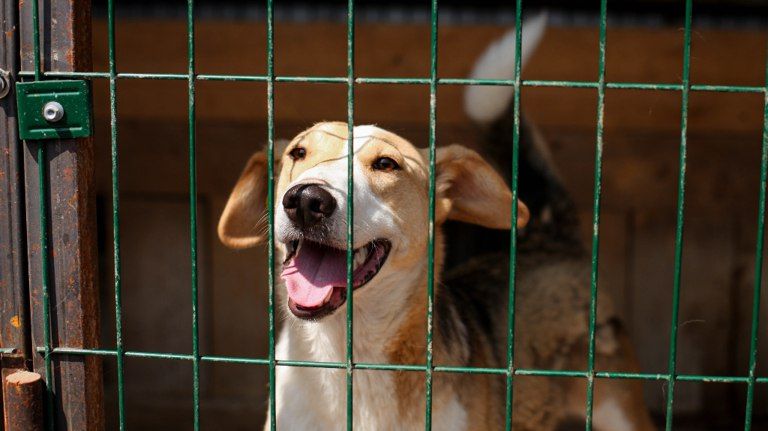 � ������� ������ ���� 350 ��������� ������ � ����������