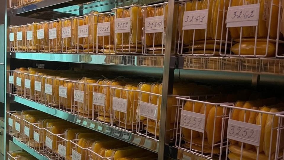 ����� 10 ���. ������� �������� ������� ����� �������� ����� � 2025 ����