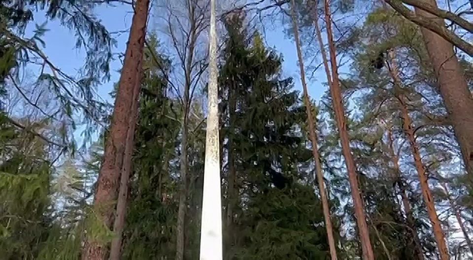 ���� ��������� ������ - ���������� ������������ �������� � 17 ���������� �� �������