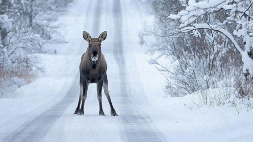 �������� ������������� ��������� ���� �� ������ � ������� ������