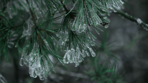 ������, ��� ������� ����������: ������� �������� ������� ��� ����� �����