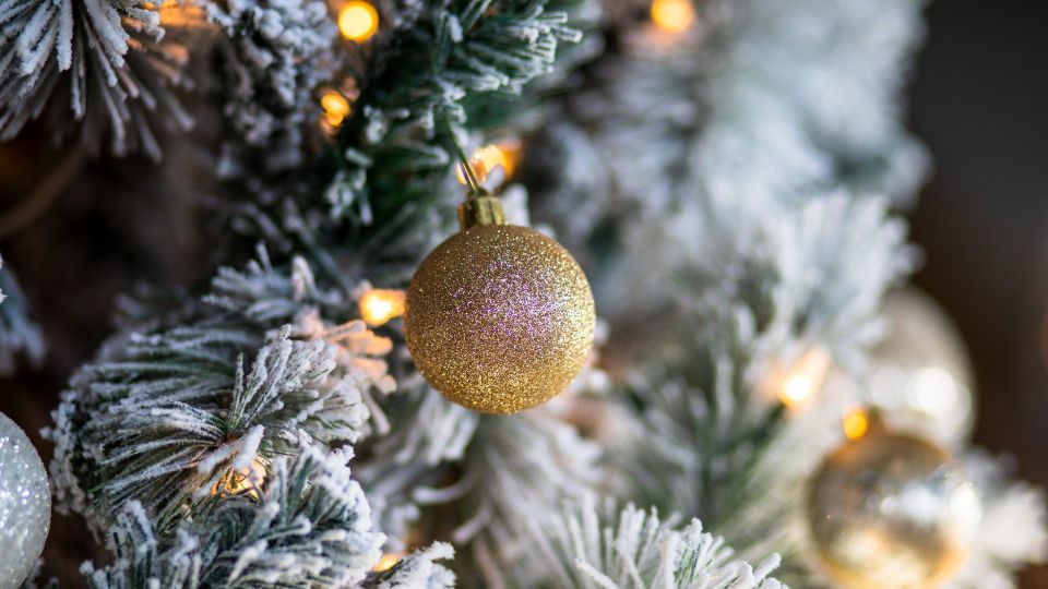 ��� ������ �������� ������� ������� �� ������ ����������� ������ ���������� ���� ������