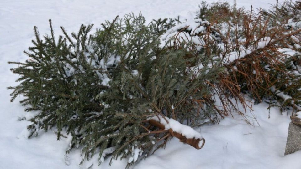 � ������� ���������� ����� "������� ����������" �� ����������� ���������� ��������