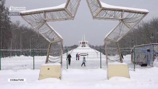 В новогодние праздники тысячи брянцев обратились за медицинской помощью