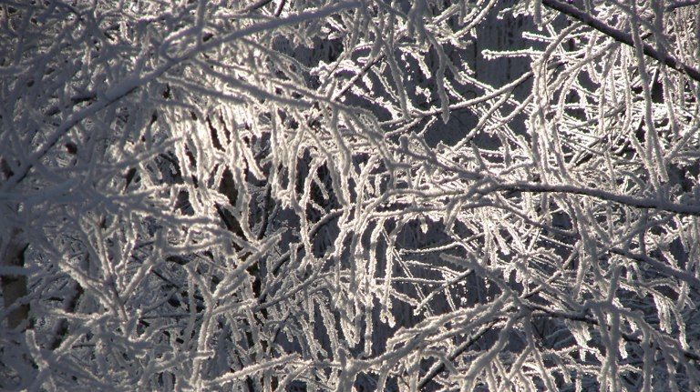 � �������� ������� �������� ����� �������� ���� � ������ ������