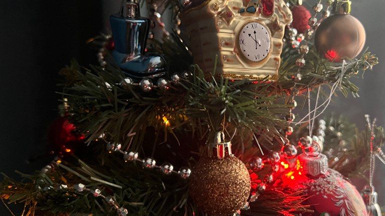 � �������� ������� � ���� �� 14 ������ ������� ������ ����� ���