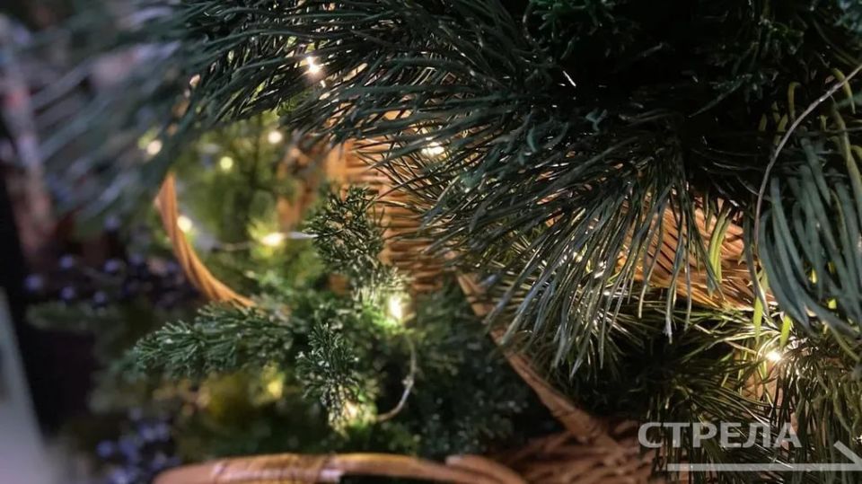 �������, 13 ������, � �������� ������� �������� ����� ������� ������ ����