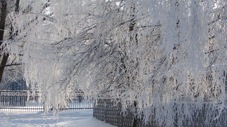 �������� ������� ��������������� ������� ������ ������ �������� �� ������