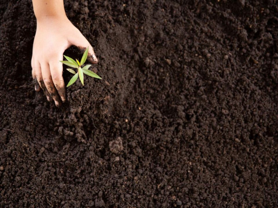 ��������� � �����: ������� ���� ��� ������������� ��� ��������� ���������?