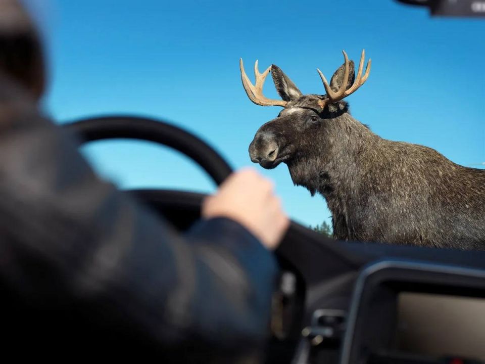 ��������� ��������� ��������� ��������!